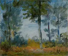 Wilhelm Busch, Waldrand (Waldlichtung), Öl auf Papier auf Pappe