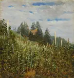 Carl Gustav Carus, Frühsommerlicher Weinberg in Pillnitz, Um 1830, Öl auf leichtem Karton