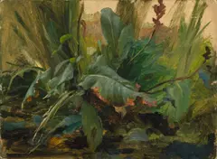Joseph Selleny, Pflanzenstudie, Öl auf Karton