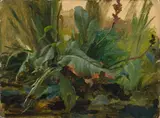 Joseph Selleny, Pflanzenstudie, Öl auf Karton