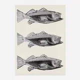 Fish by Andy Warhol, 1983, screenprint in colors on wallpaper, sold Feb 2022
