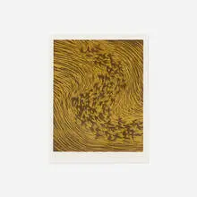 James Nares, Starling, 1990, woodcut