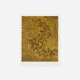 James Nares, Starling
