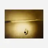 Barbara Ess, Untitled (from the Food for the Moon series), 1986, monochrome color photograph mounted to Masonite