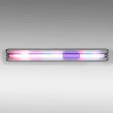 Spencer Finch, Moonlight (Luna County, New Mexico, July 13, 2003), 2003, fluorescent tube fixture, colored plastic sheeting