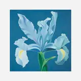 Lowell Nesbitt, Blue Iris