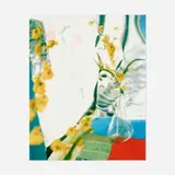 Miranda Lichtenstein, Untitled #7, 2009, archival pigment print