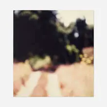 Uta Barth, Untitled (Ground #5), 1992-93, Ektacolor print on panel