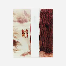 Elad Lassry, Collie (White Bar), 2011, foil on c-print in painted frame