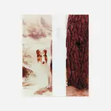 Elad Lassry, Collie (White Bar), 2011, foil on c-print in painted frame