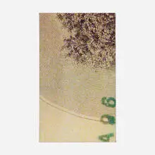 Hugh Scott-Douglas, Chopped Bill, 2013, dye sublimation on linen