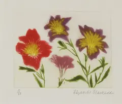 Untitled by Elizabeth Blackadder, Dame Elizabeth Blackadder RA RSA (b.1931) 'SALPIGLOSSIS' Etching with aquatint, sold Oct 2019
