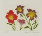 Elizabeth Blackadder, Untitled
