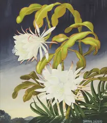 Barbara Everard, Untitled, watercolour heightened with white 51.5 x 41.5cm .