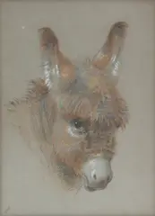 William Huggins, Head of a donkey, pencil and pastel