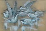 Charles Frederick Tunnicliffe Obe Ra, A study of Terns, watercolour, gouache, pastel and pencil