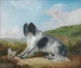 Edwin Frederick Holt, A Setter with a partridge, oil on canvas
