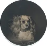Alfred Lucas, 'Fairy', Lady Bulwer's favourite Spaniel, 1849, engraving