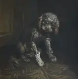 Vilhelm Theodor Fischer, A good patient - Poodle with bandaged paw, oil on canvas