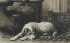 Herbert Thomas Dicksee Re, 'Where's Master?' - The King's Wire Fox Terrier 'Caesar', 1911, etching on vellum