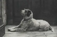 Herbert Thomas Dicksee Re, 'The Closed Door' - A Jack Russell Terrier, 1920, etching on vellum