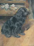 Gerald Laffitte, A black Cocker Spaniel in a fine interior, watercolour on paper mounted on canvas