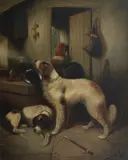 George Armfield, The sportsman's dogs