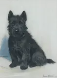 Marion Rodger Hamilton Harvey, A seated Scottish Terrier, pastel