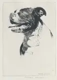 Morgan Dennis, 'Full of Beans' - A Staffordshire Terrier, etching