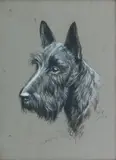 Ernest Herbert Mills, Head of a Scottish Terrier, watercolour and gouache