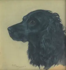 Frank Prosser, Head study of a black Cocker Spaniel, pastel