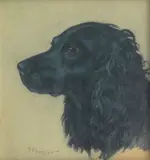 Frank Prosser, Head study of a black Cocker Spaniel, pastel