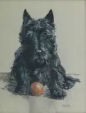 Truda Hope Panet, The Scottish Terrier 'Jock', pastel