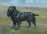 Jean-Marie Rivet, A black Cocker Spaniel in a landscape, gouache and pencil heightened with gum arabic