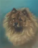 Ada Elizabeth Tucker, Head of a Chow Chow, pastel