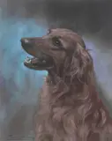 Persis Kirmse, Head of an Irish Setter, pastel