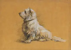 Herbert Thomas Dicksee Re, A West Highlander, charcoal and pastel