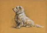Herbert Thomas Dicksee Re, A West Highlander, charcoal and pastel