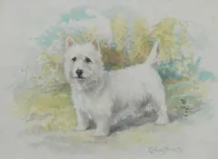 Reuben Ward Binks, West Highland Terrier, watercolour