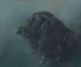 Persis Kirmse, 'Joker' - Cocker Spaniel, pastel