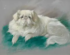 Lilian Cheviot, White Pekingese, oil on canvas