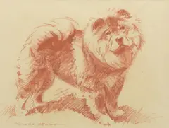Morgan Dennis, A Chow Chow, pastel