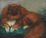 Elizabeth Marion Nelson, 'Tokie' - Pekingese, oil on canvas