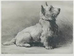 Herbert Thomas Dicksee Re, 'A West Highlander', 1930, etching