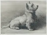 Herbert Thomas Dicksee Re, 'A West Highlander', 1930, etching