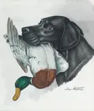 Jean Herblet, Retrievers with birds, a set of four, watercolour