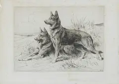 Herbert Thomas Dicksee Re, Alsatians, 1926, etching