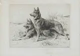 Herbert Thomas Dicksee Re, Alsatians, 1926, etching