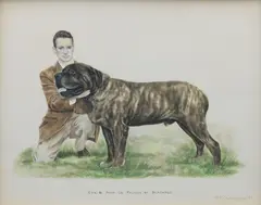 Bridget Olerenshaw, 'Eng. & Amer. Ch. Falcon of Blackrock' - Mastiff, gouache