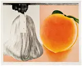 James Rosenquist, When a leak...